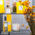 Charger l'image dans la visionneuse de la galerie, Set bougie , diffuseur et parfum d'intérieur fleur de mimosa bianochy
