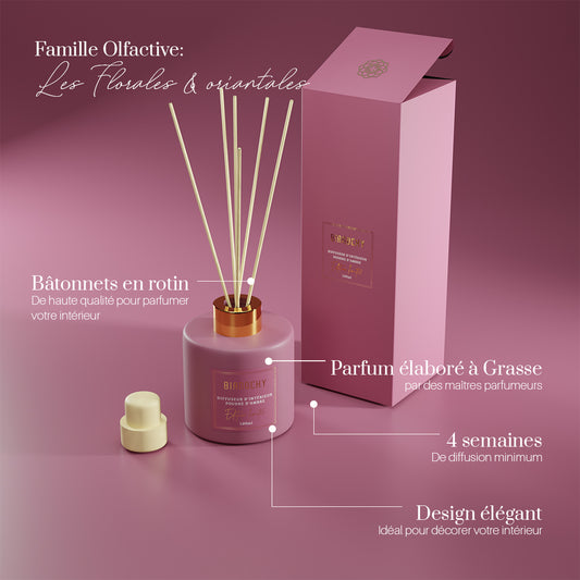 Diffuseur d’intérieur Poudre d’Ambre