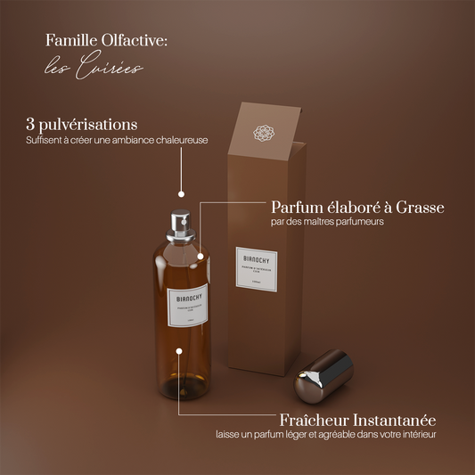 Parfum d’intérieur cuir avec packaging